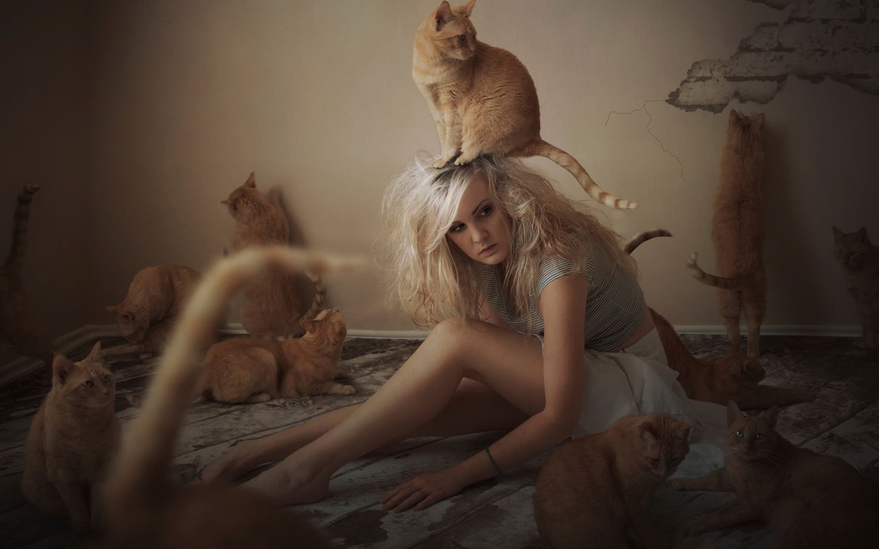 Обои девушка, коты, кошки, рыжие, girl, cats, red разрешение 1920x1200 Загрузить