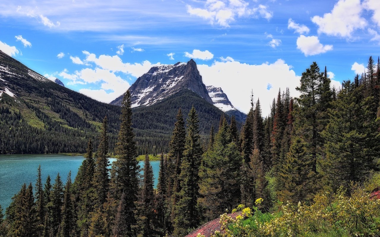 Обои деревья, озеро, горы, пейзаж, st mary lake, национальный парк глейшер, trees, lake, mountains, landscape, glacier national park разрешение 2560x1600 Загрузить