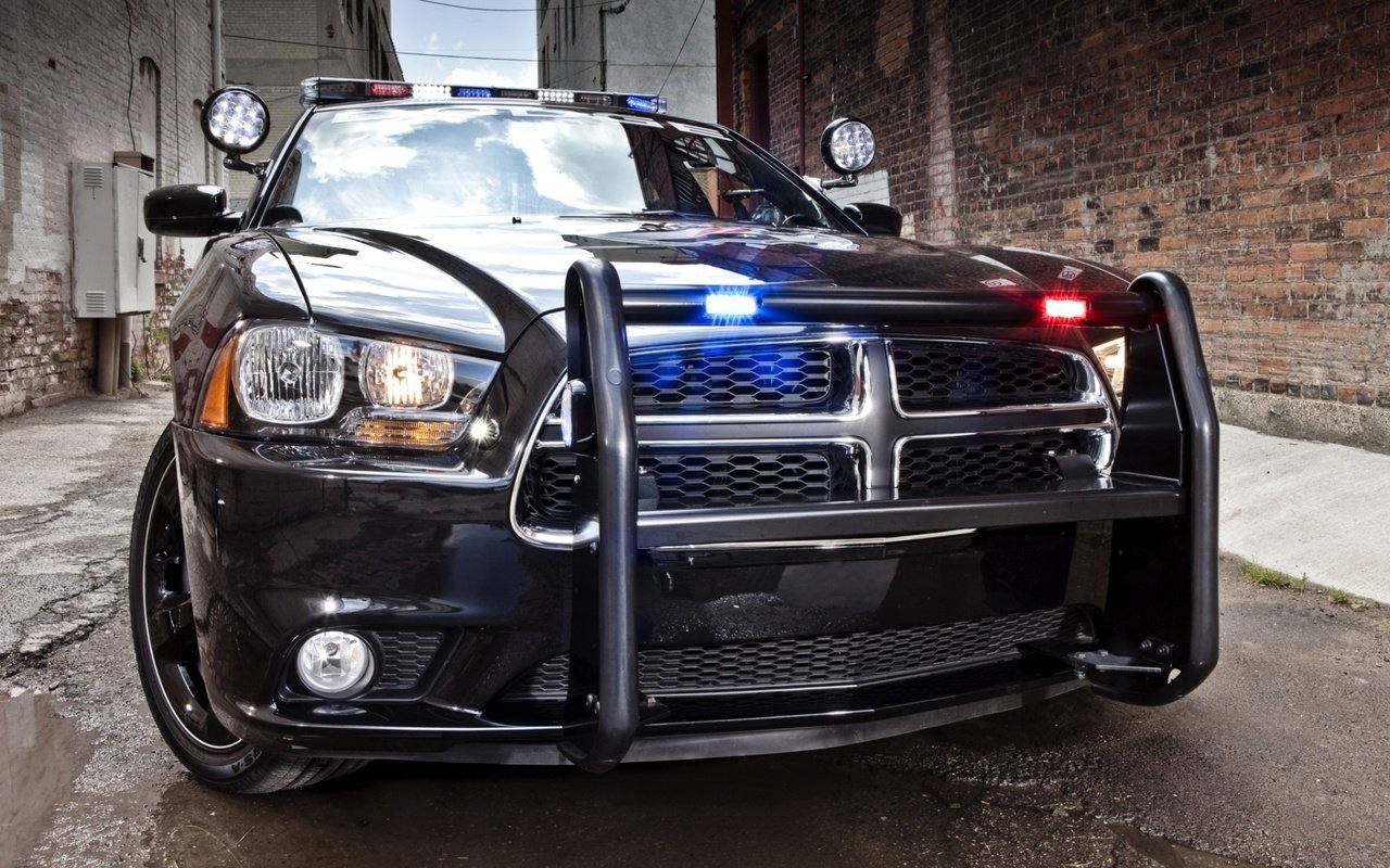 Обои полиция, полицейская, додж, седан, charger, чарджер, pursuit, police, dodge, sedan, the charger разрешение 1920x1200 Загрузить