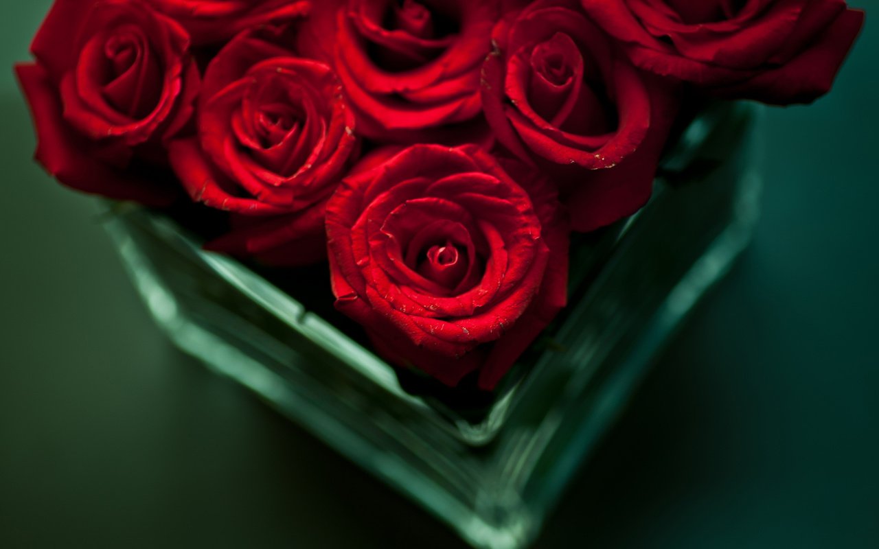 Обои цветы, розы, красные, букет, ваза, flowers, roses, red, bouquet, vase разрешение 1920x1200 Загрузить