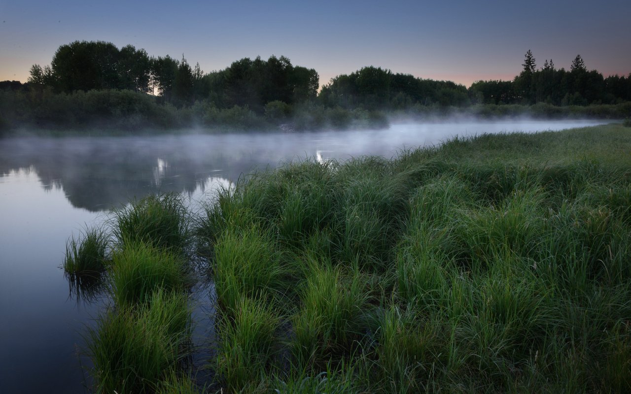 Обои трава, озеро, лес, утро, туман, рассвет, grass, lake, forest, morning, fog, dawn разрешение 1920x1200 Загрузить