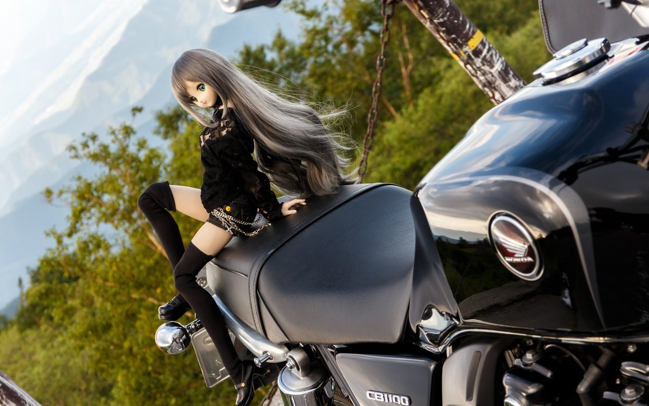 Обои игрушка, кукла, мотоцикл, хонда, honda cb1100, toy, doll, motorcycle, honda разрешение 2560x1600 Загрузить