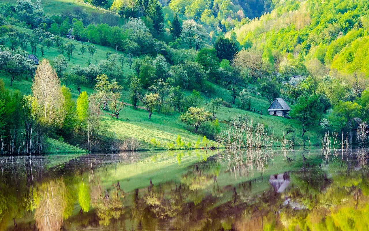 Обои деревья, озеро, отражение, склон, гора, дома, весна, trees, lake, reflection, slope, mountain, home, spring разрешение 1920x1200 Загрузить