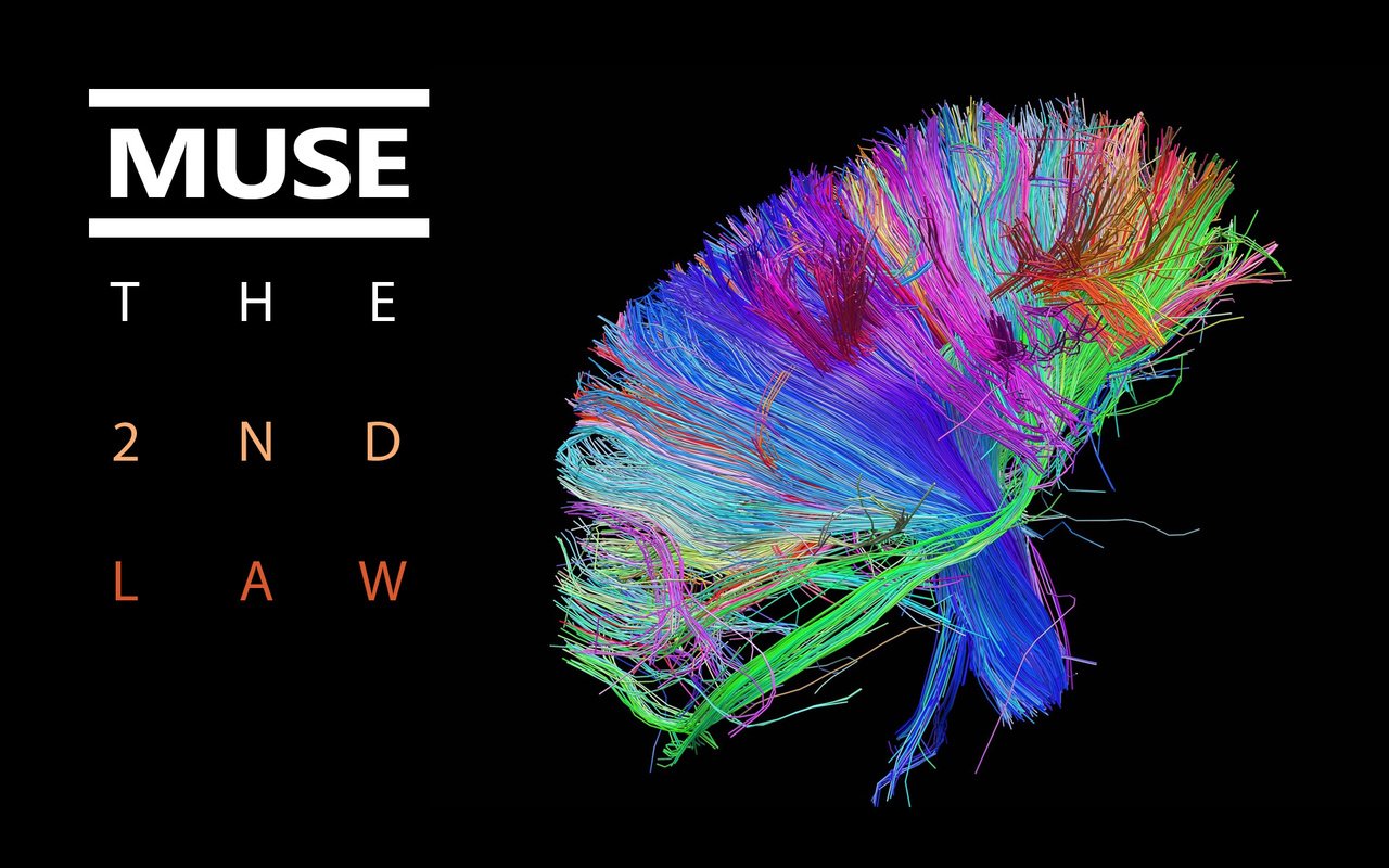 Обои расцветка, обложка, свёрток, мозг, wires, the 2nd law, муза, colors, cover, bundle, brain, muse разрешение 1920x1200 Загрузить