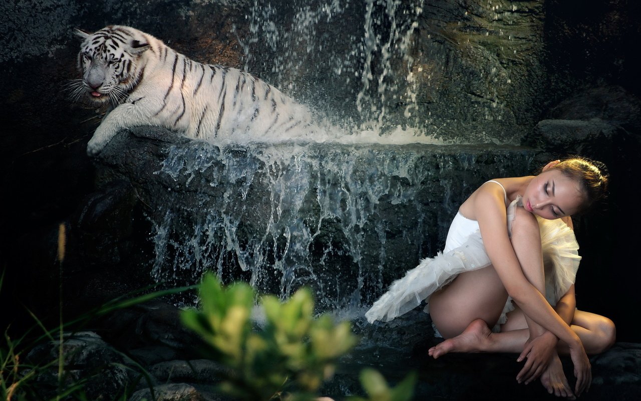 Обои тигр, девушка, фон, tiger, girl, background разрешение 2560x1600 Загрузить