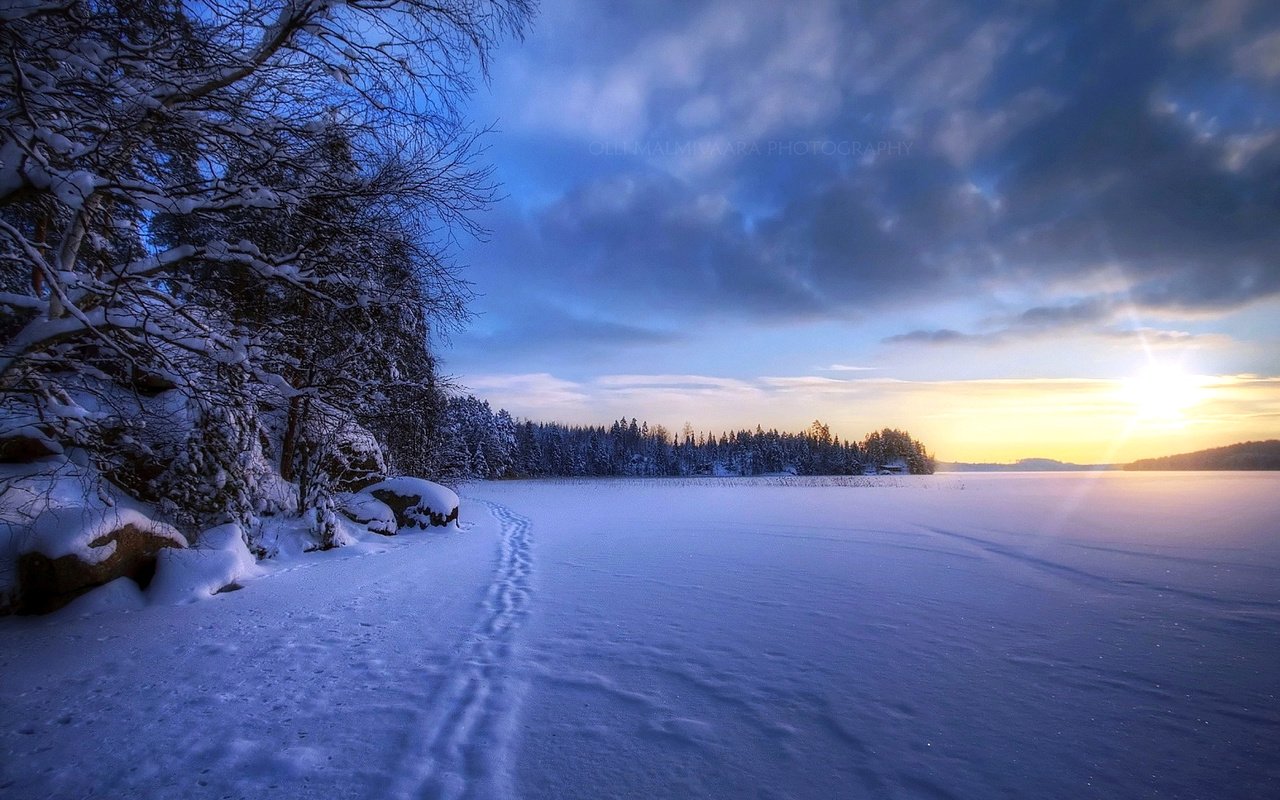 Обои снег, лес, закат, зима, snow, forest, sunset, winter разрешение 1920x1200 Загрузить