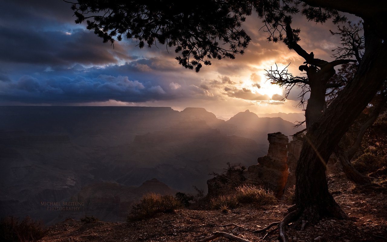 Обои дерево, тучи, лучи солнца, аризона, гранд каньон, tree, clouds, the rays of the sun, az, the grand canyon разрешение 1920x1200 Загрузить