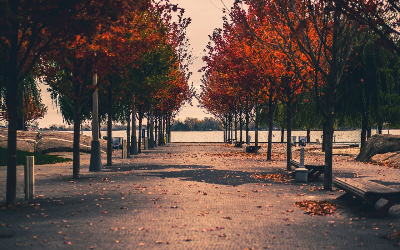 Обои канада, торонто, street photography, sugar beach, canada, toronto разрешение 2048x1365 Загрузить