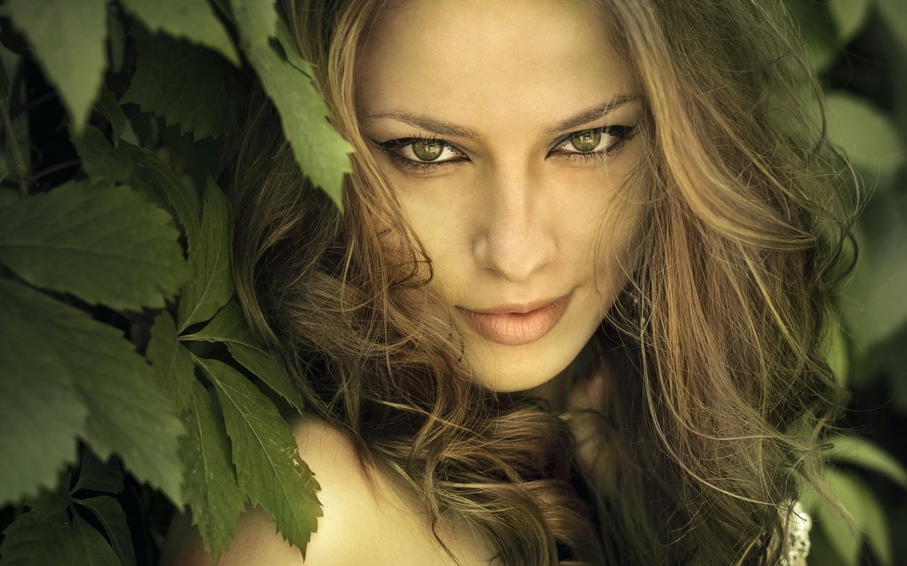 Обои глаза, природа, листья, девушка, взгляд, волосы, лицо, eyes, nature, leaves, girl, look, hair, face разрешение 2560x1600 Загрузить