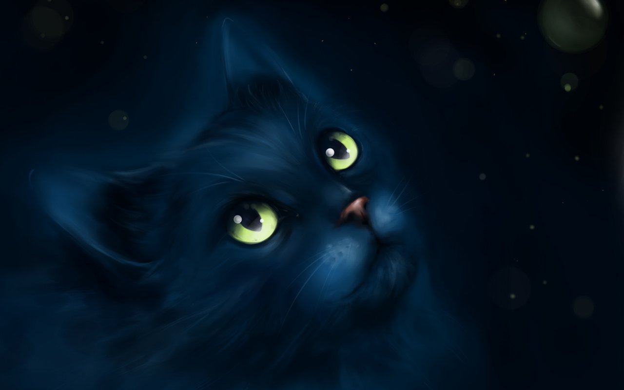 Обои арт, рисунок, мордочка, усы, взгляд, живопись, черный кот, art, figure, muzzle, mustache, look, painting, black cat разрешение 2560x1920 Загрузить