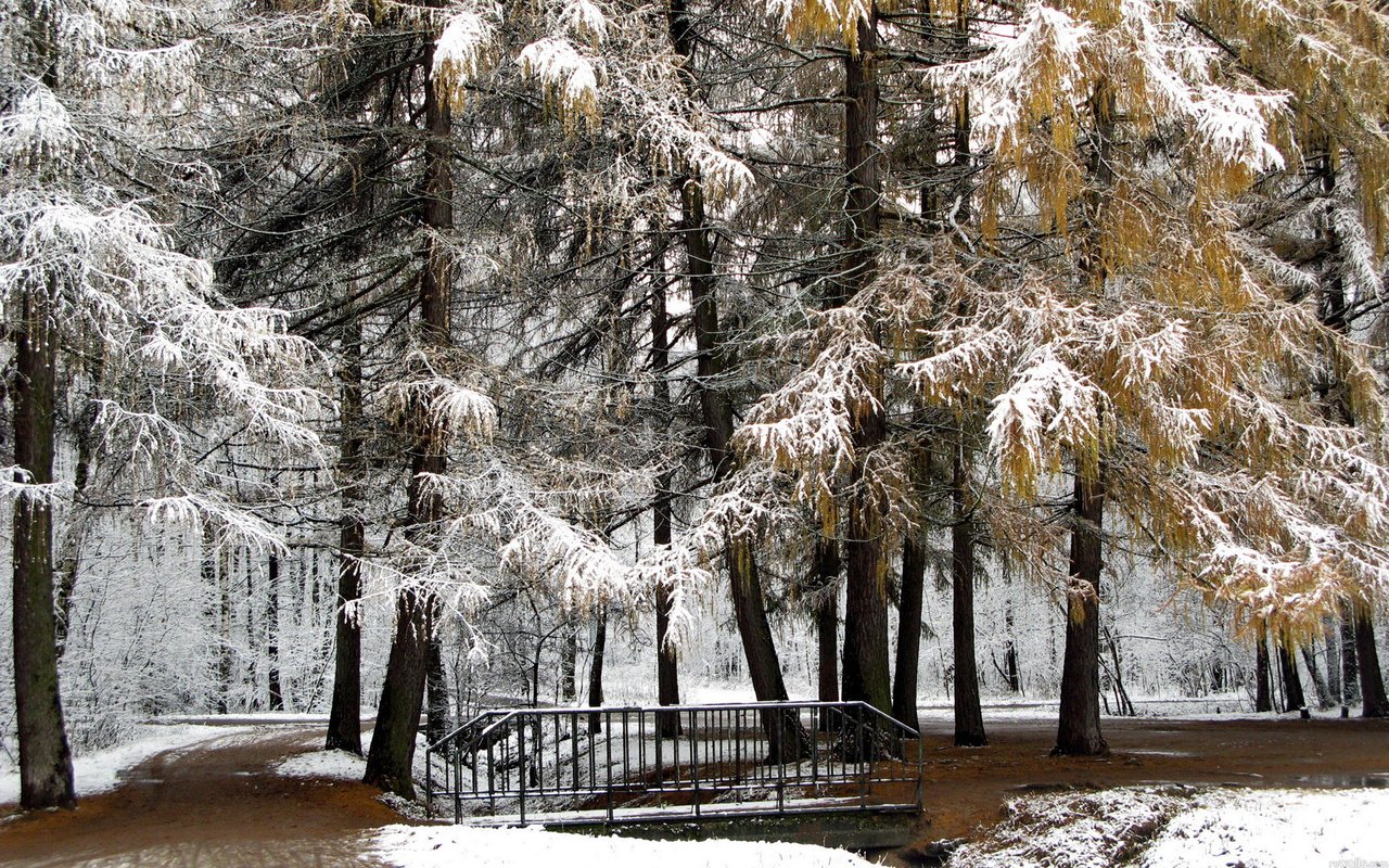 Обои деревья, снег, природа, зима, парк, мост, trees, snow, nature, winter, park, bridge разрешение 1920x1200 Загрузить