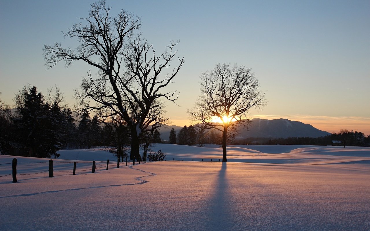 Обои небо, деревья, природа, закат, зима, the sky, trees, nature, sunset, winter разрешение 2074x1382 Загрузить