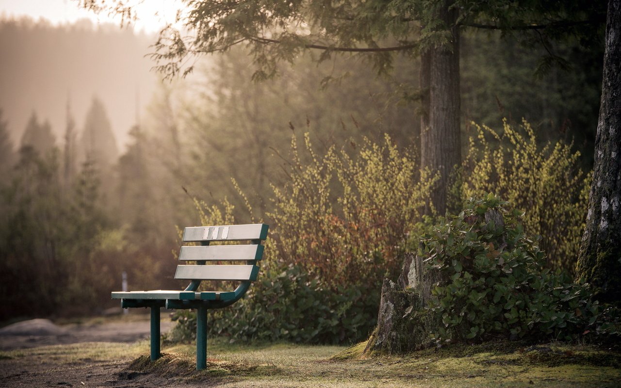 Обои парк, город, скамья, park, the city, bench разрешение 1920x1290 Загрузить