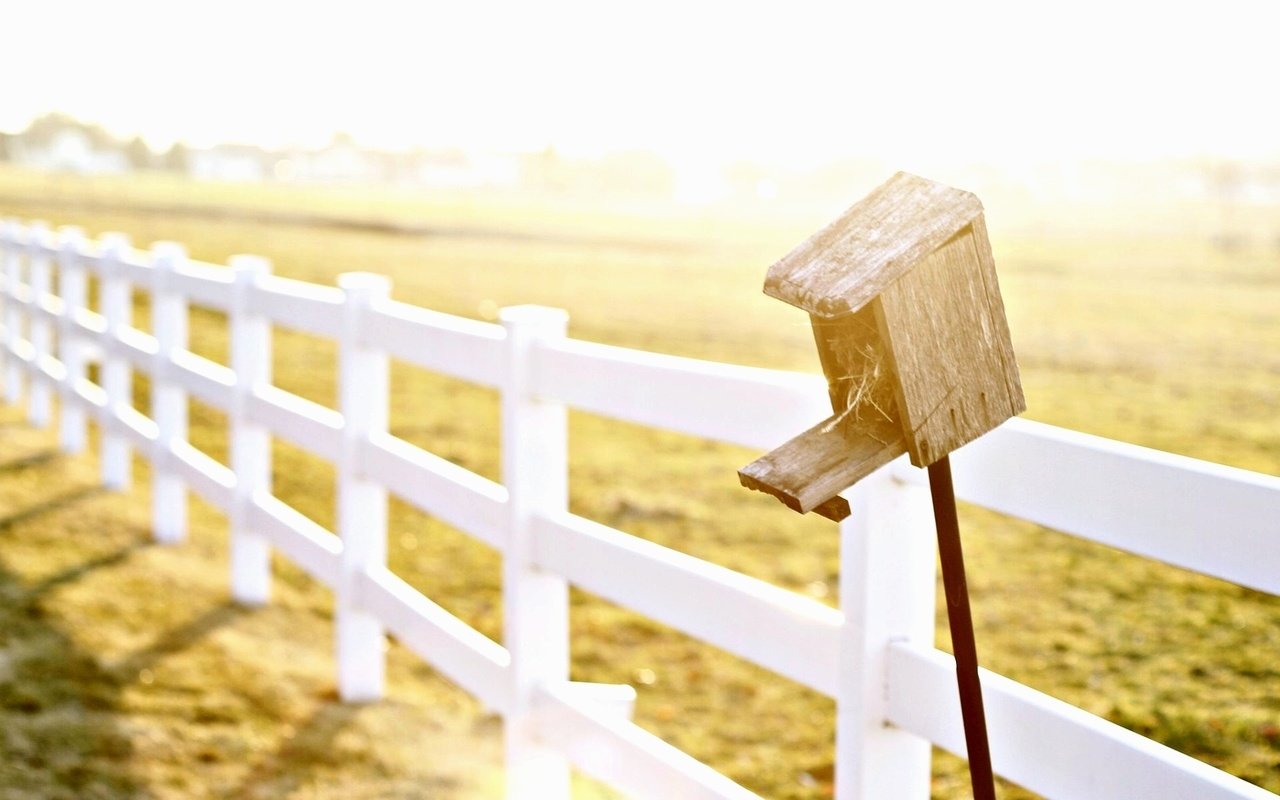 Обои природа, поле, забор, ограда, nature, field, the fence, fence разрешение 1920x1200 Загрузить