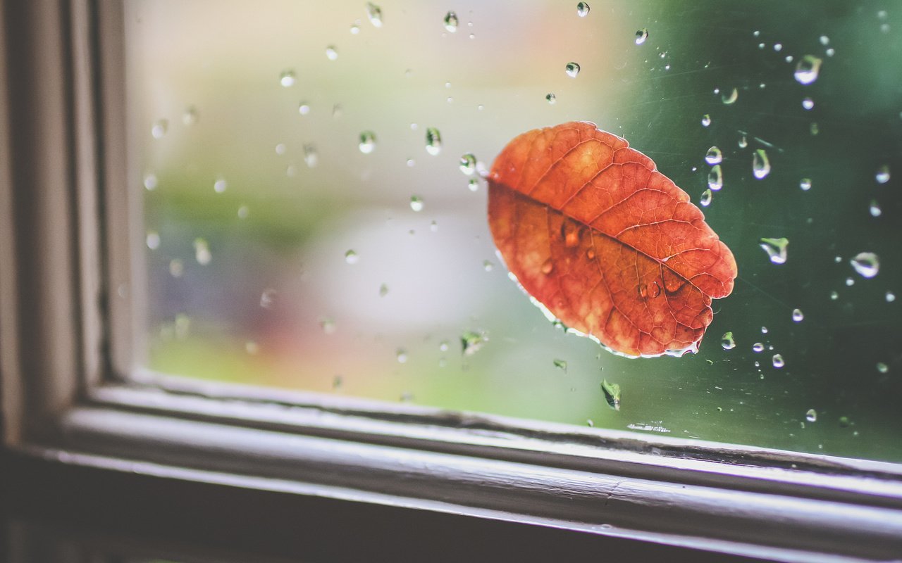 Обои капли, осень, лист, дождь, окно, стекло, drops, autumn, sheet, rain, window, glass разрешение 2048x1365 Загрузить