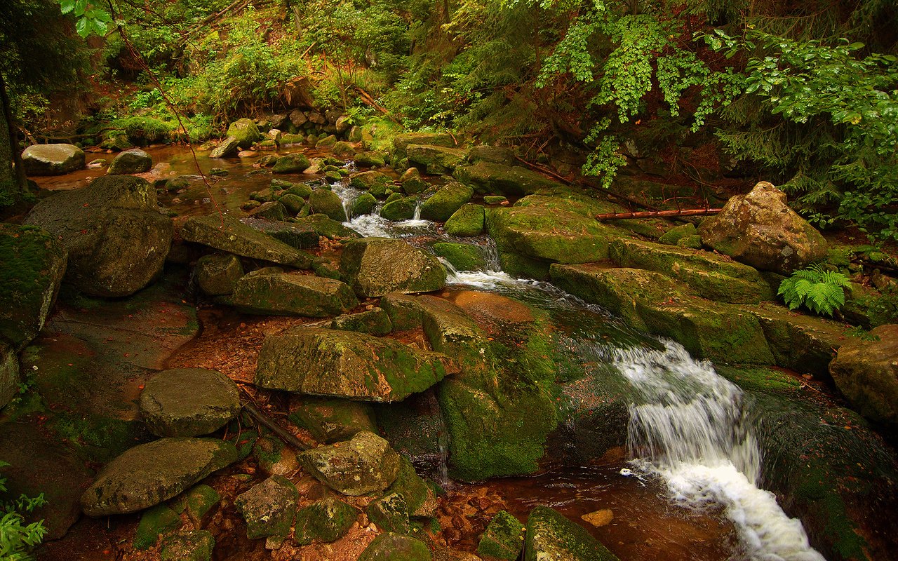 Обои камни, ручей, водопад, поток, мох, природа.вода, stones, stream, waterfall, moss, nature.water разрешение 1920x1200 Загрузить