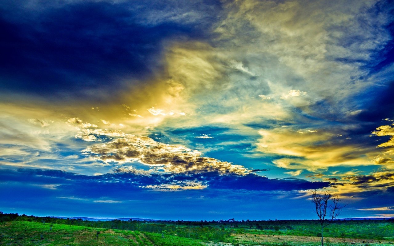 Обои небо, трава, облака, поле, зарево, the sky, grass, clouds, field, glow разрешение 1920x1200 Загрузить