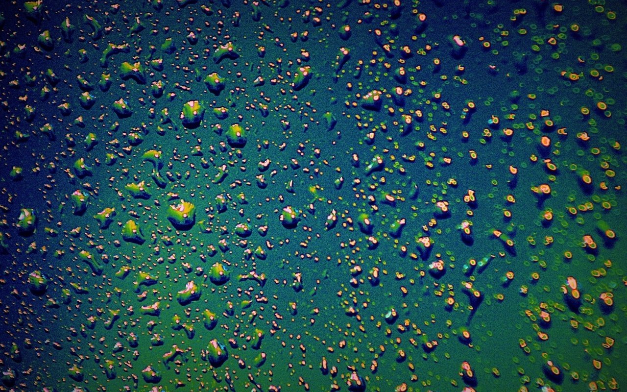 Обои вода, текстура, зелёный, фон, капли, воды, капли дождя, marta diarra, water, texture, green, background, drops, raindrops разрешение 1936x1280 Загрузить