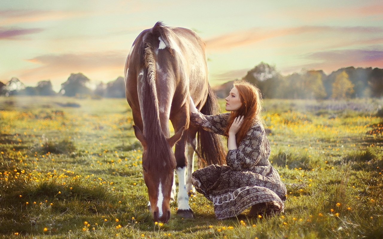 Обои цветы, лошадь, горы, природа, девушка, поле, flowers, horse, mountains, nature, girl, field разрешение 2048x1388 Загрузить