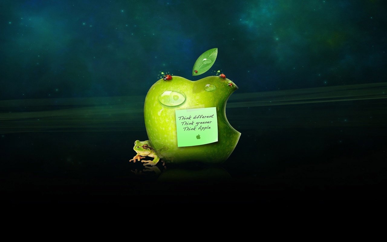 Обои капли, лягушка, яблоко, стикер, эппл, drops, frog, apple, sticker разрешение 2560x1600 Загрузить