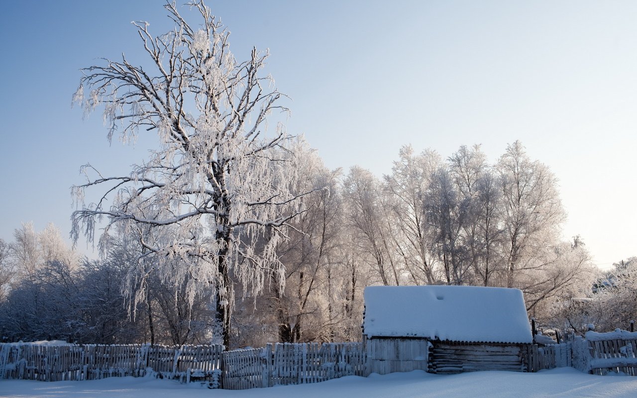 Обои снег, зима, пейзаж, забор, дом, snow, winter, landscape, the fence, house разрешение 2560x1600 Загрузить