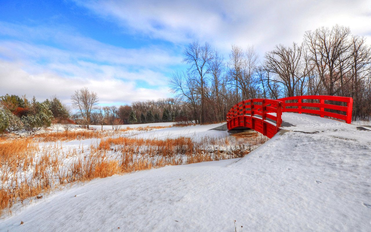 Обои небо, деревья, снег, зима, парк, мост, the sky, trees, snow, winter, park, bridge разрешение 2048x1360 Загрузить