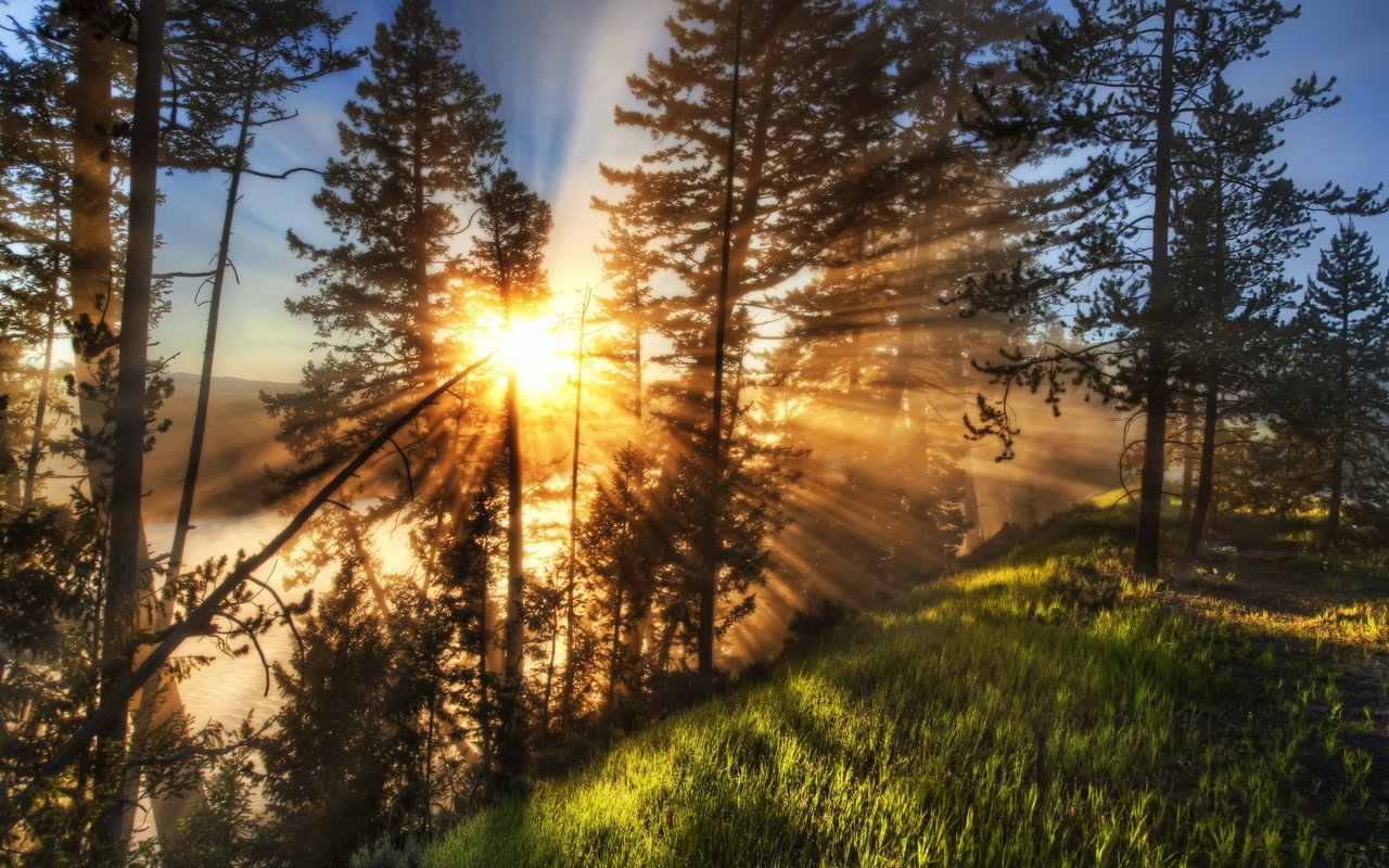 Обои свет, деревья, река, солнце, лучи, пейзаж, туман, рассвет, light, trees, river, the sun, rays, landscape, fog, dawn разрешение 3855x2667 Загрузить