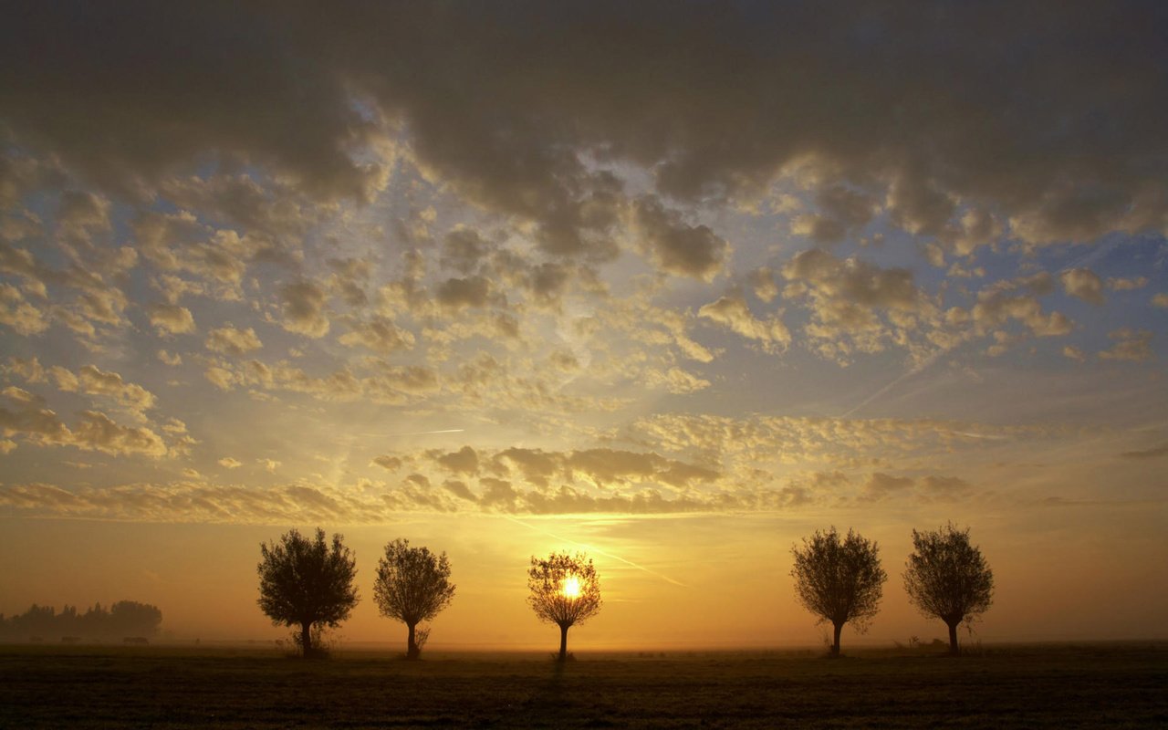 Обои небо, деревья, закат, пейзаж, поле, the sky, trees, sunset, landscape, field разрешение 1920x1200 Загрузить