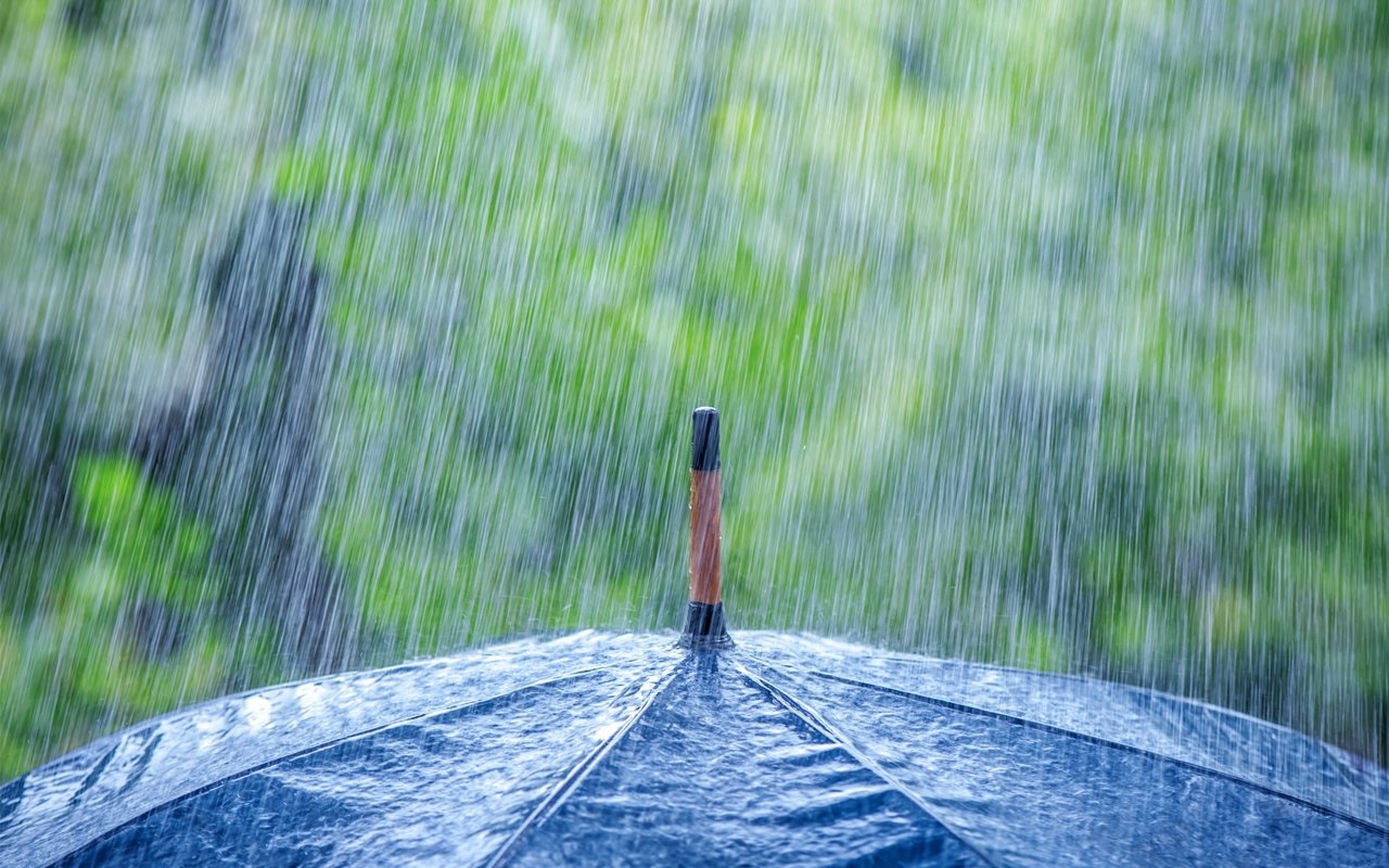 Обои макро, дождь, зонт, зонтик, ливень, macro, rain, umbrella, the shower разрешение 2880x1917 Загрузить