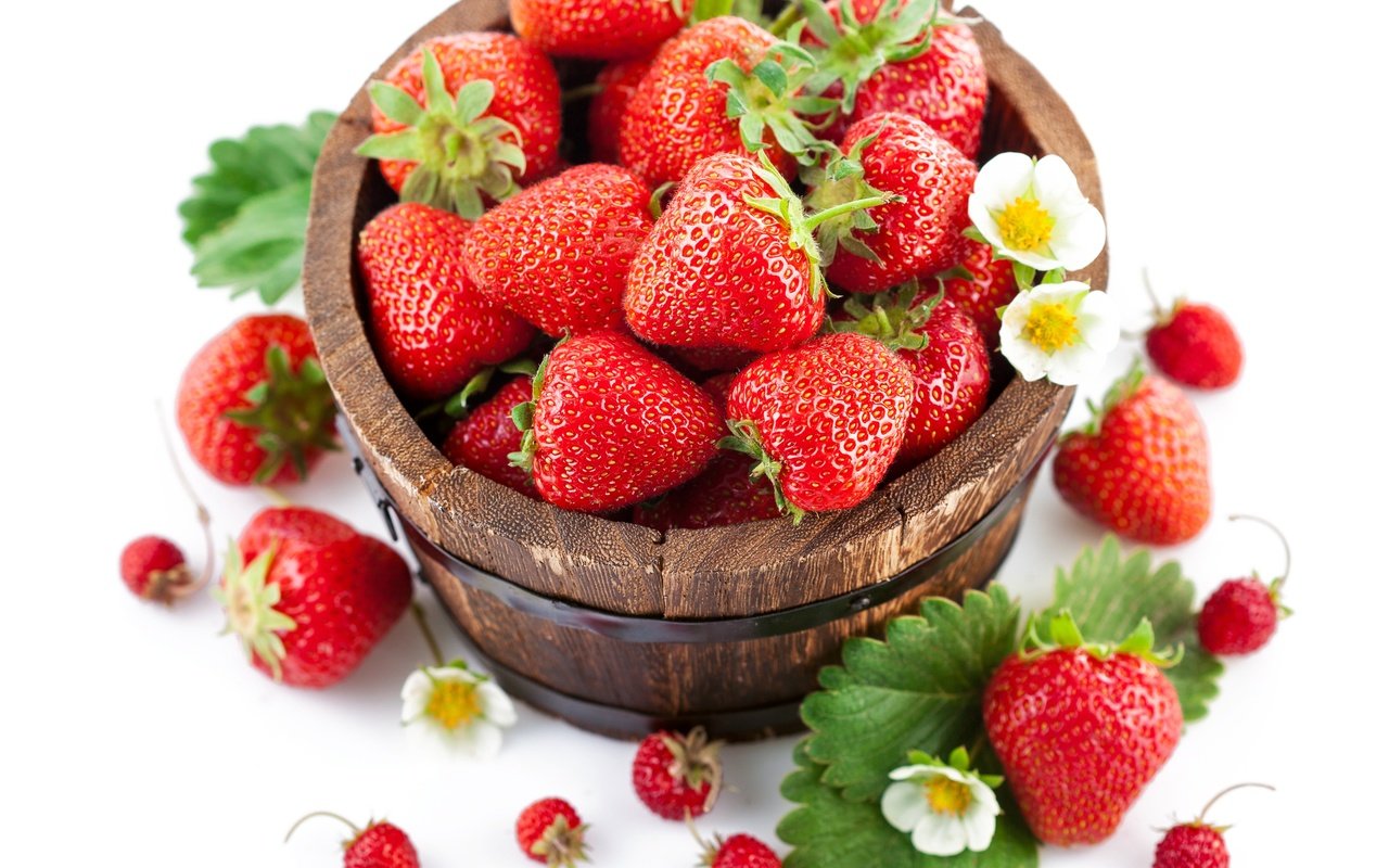Обои цветы, листва, красная, клубника, ягоды, земляника, бочонок, flowers, foliage, red, strawberry, berries, strawberries, barrel разрешение 4254x3633 Загрузить