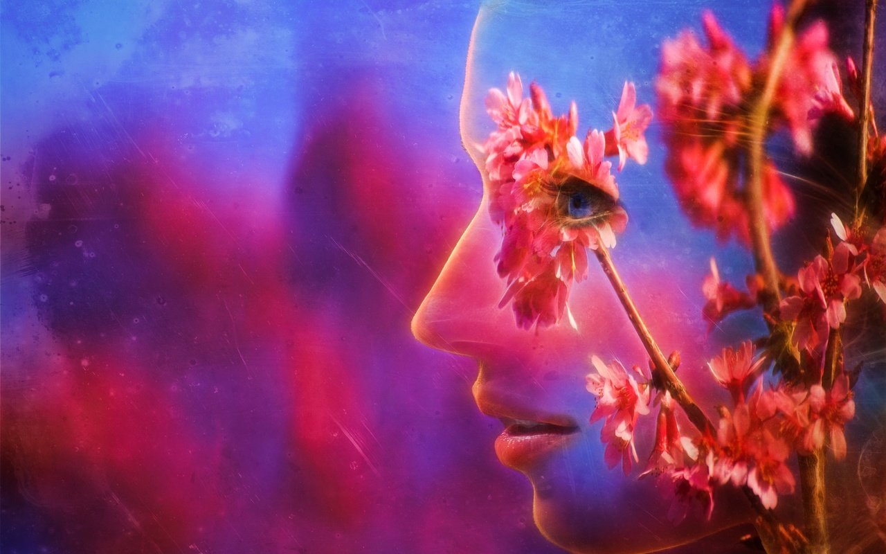 Обои цветы, ветка, абстракция, профиль, весна, лицо, flowers, branch, abstraction, profile, spring, face разрешение 2048x1365 Загрузить