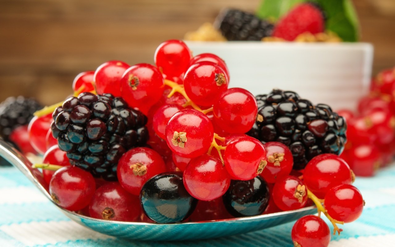 Обои красная, ягоды, лесные ягоды, черная, ежевика, смородина, парное, red, berries, black, blackberry, currants, fresh разрешение 4730x3400 Загрузить