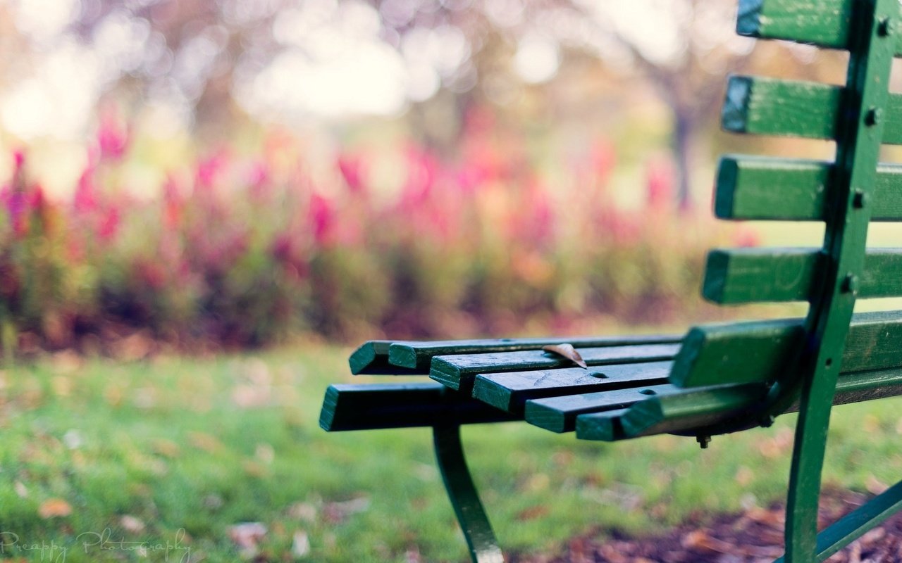 Обои скамейка, настроения, листик, скамья, лавочка, лавка, bench, mood, leaf, shop разрешение 1920x1200 Загрузить