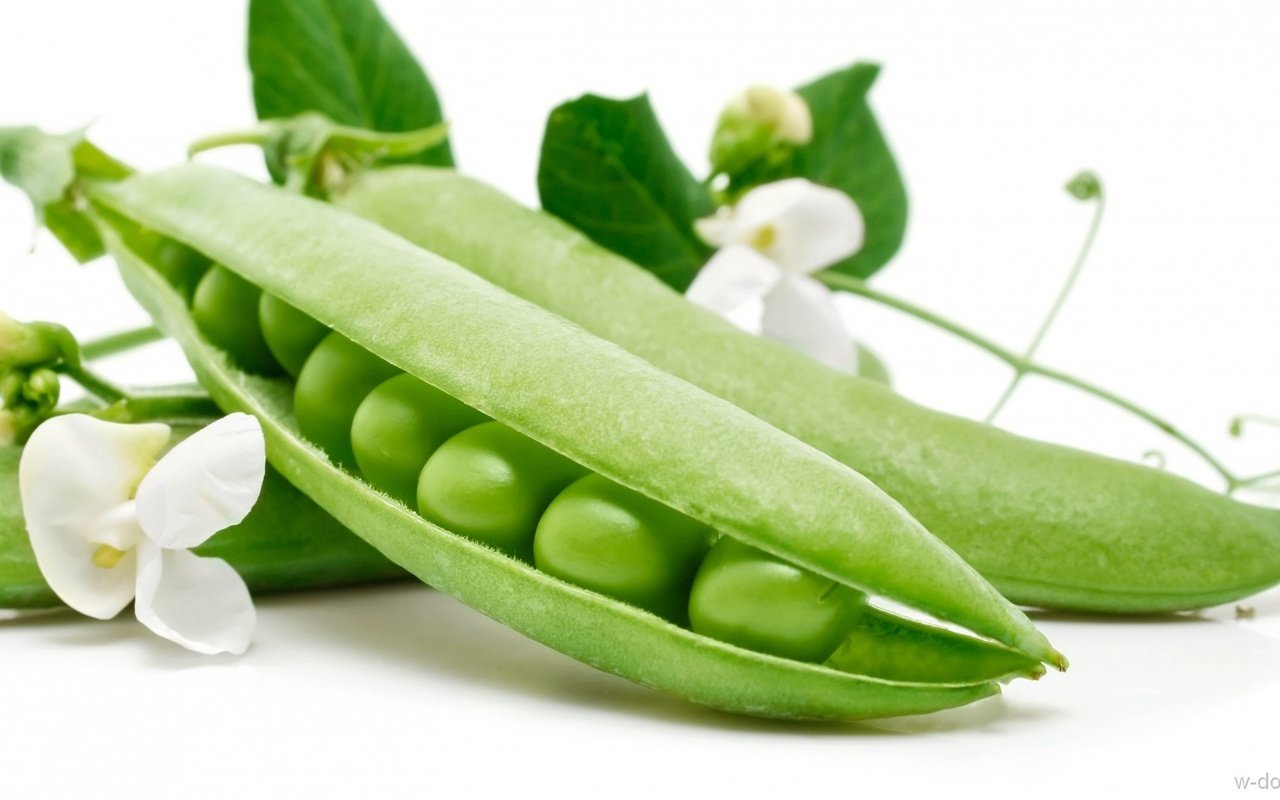 Обои белый фон, горох, стручек, зеленый горошек, white background, peas, struck, green peas разрешение 1920x1086 Загрузить