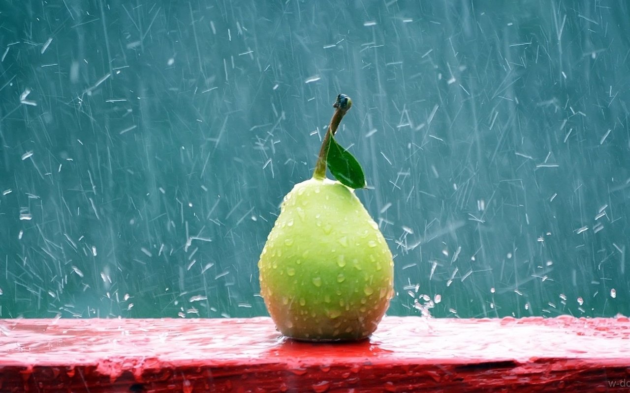 Обои капли, фрукты, дождь, плоды, груша, drops, fruit, rain, pear разрешение 1920x1080 Загрузить