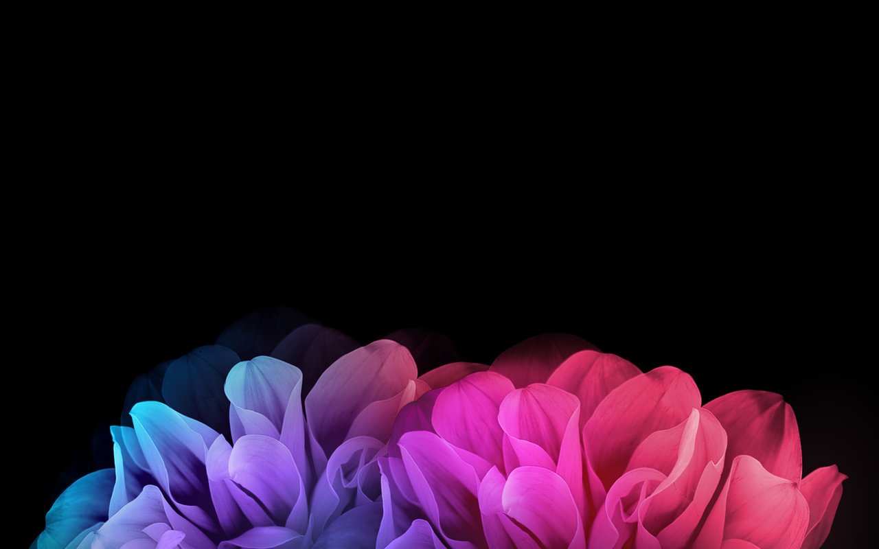 Обои цветы, лепестки, gorizont, lg g flex 2, flowers, petals, lg разрешение 2160x1920 Загрузить