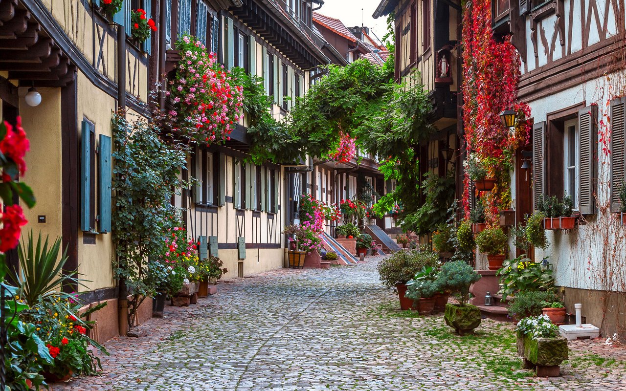 Обои цветы, дома, улица, германия, мостовая, генгенбах, flowers, home, street, germany, bridge, gengenbach разрешение 2048x1338 Загрузить