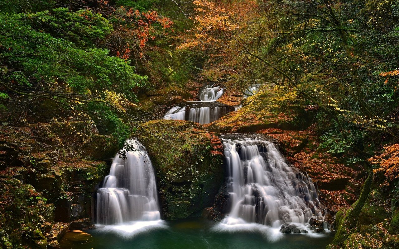 Обои деревья, лес, осень, япония, водопады, каскад, набари, trees, forest, autumn, japan, waterfalls, cascade, nabari разрешение 2400x1554 Загрузить