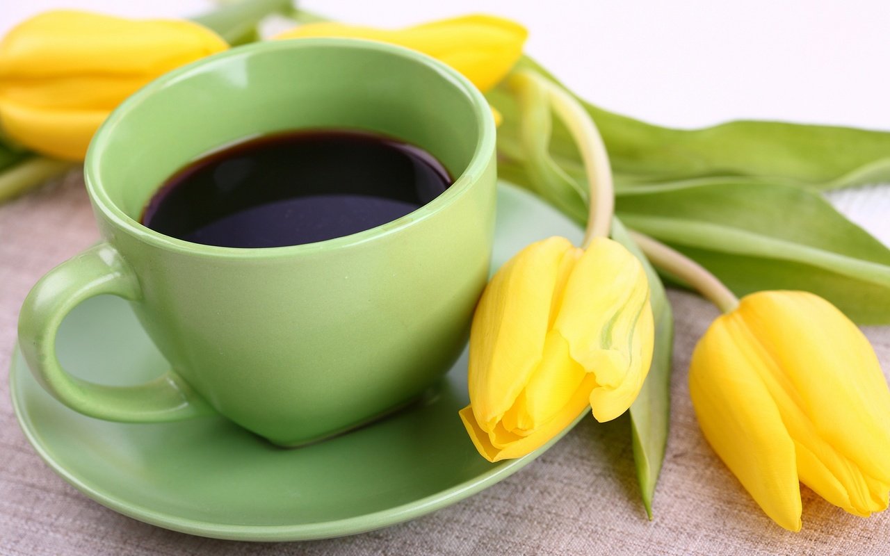 Обои кофе, тюльпаны, чашка, coffee, tulips, cup разрешение 2880x1800 Загрузить