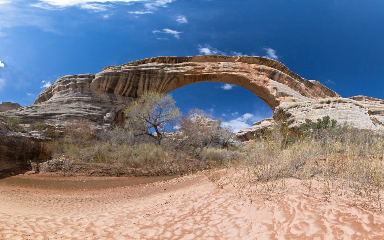 Обои небо, скалы, кусты, сша, арка, национальный парк арки, uta, the sky, rocks, the bushes, usa, arch, arches national park разрешение 1920x1080 Загрузить