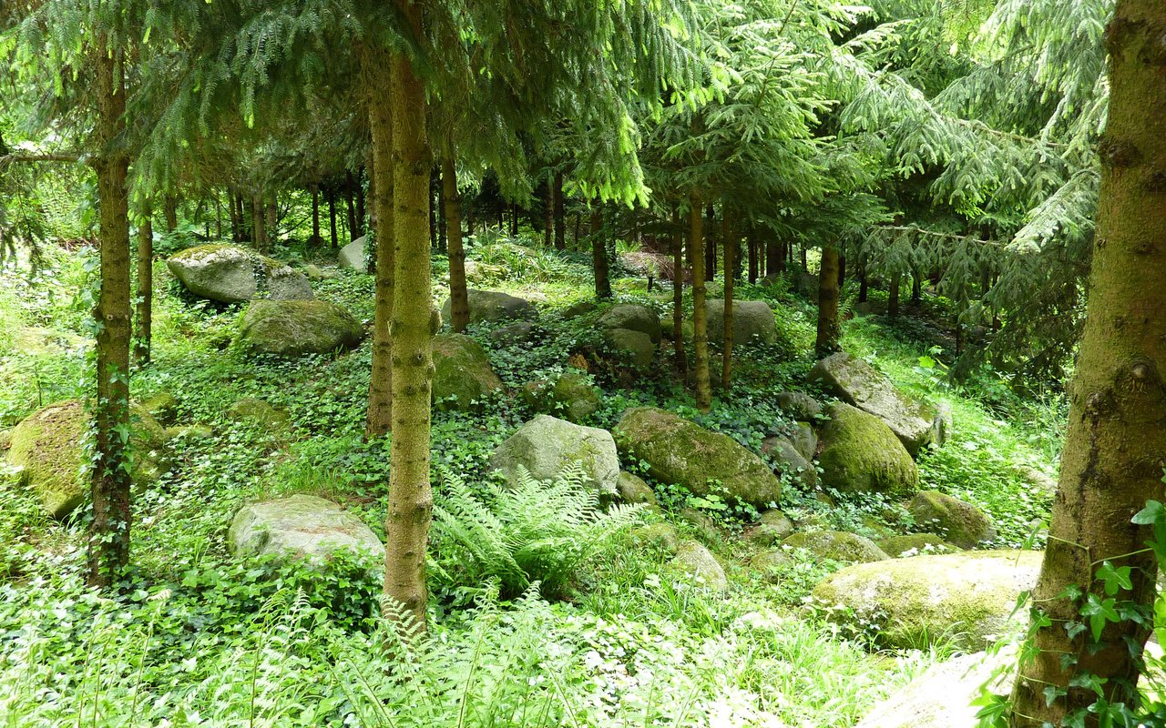 Обои трава, деревья, камни, зелень, хвоя, сад, франция, albert-kahn japanese gardens, grass, trees, stones, greens, needles, garden, france разрешение 2592x1944 Загрузить