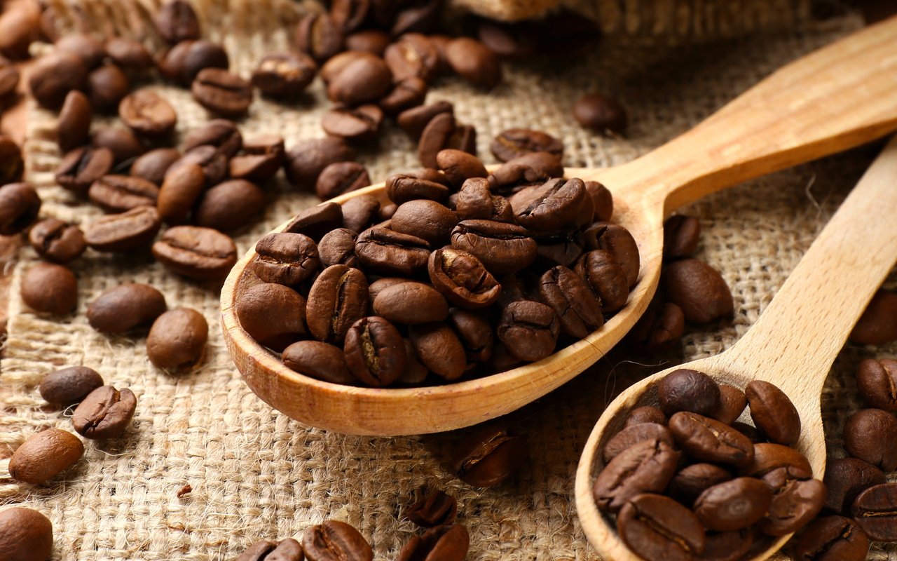Обои зерна, кофе, ложечка, бобы, grain, coffee, spoon, beans разрешение 3650x3500 Загрузить
