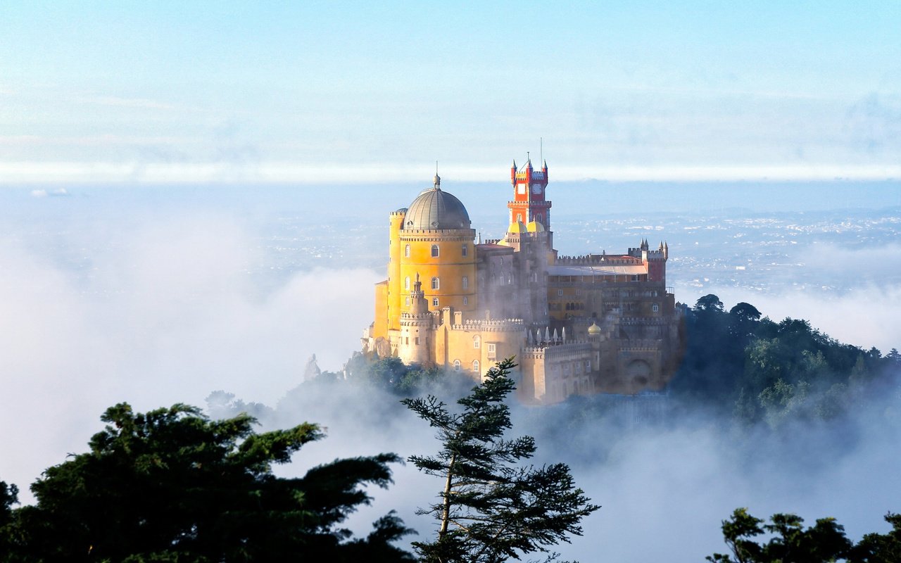 Обои деревья, утро, туман, замок, дворец, португалия, долина, пена, trees, morning, fog, castle, palace, portugal, valley, foam разрешение 2048x1365 Загрузить