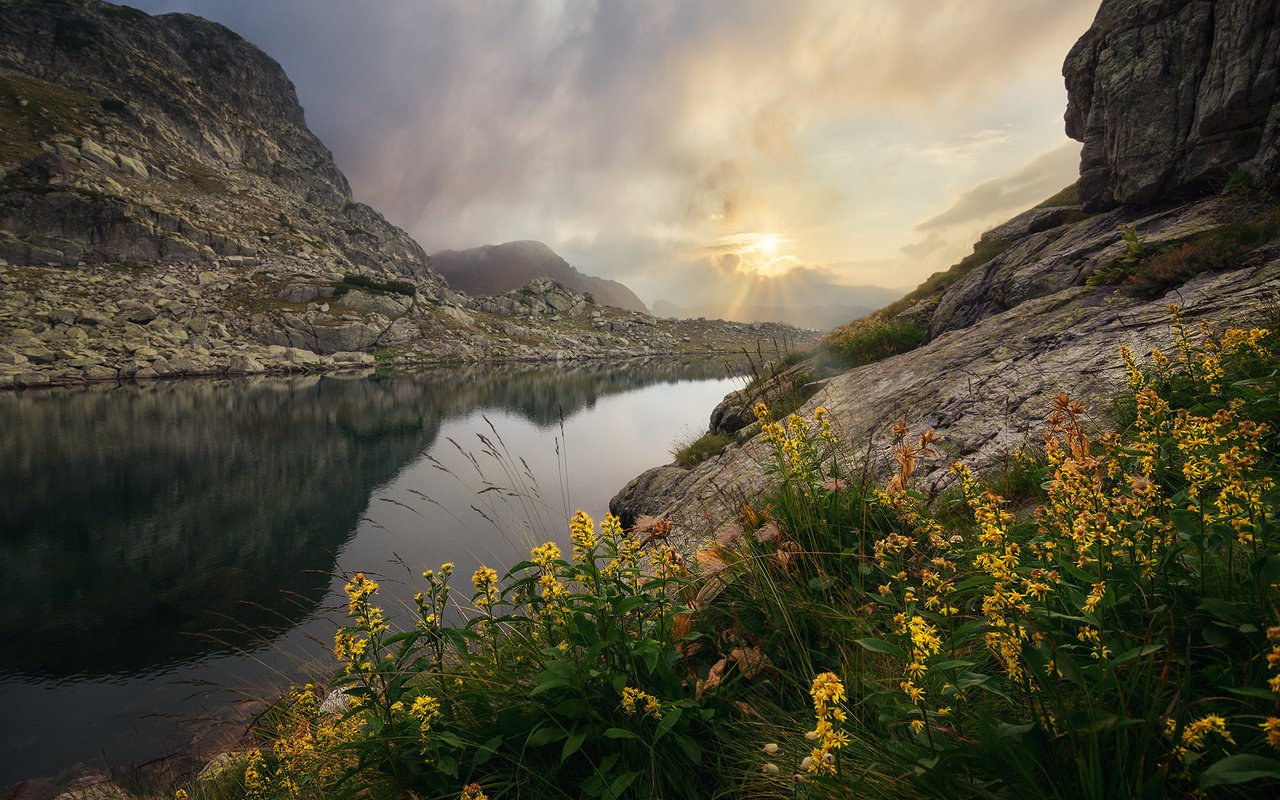 Обои цветы, озеро, горы, скалы, камни, flowers, lake, mountains, rocks, stones разрешение 2000x1333 Загрузить