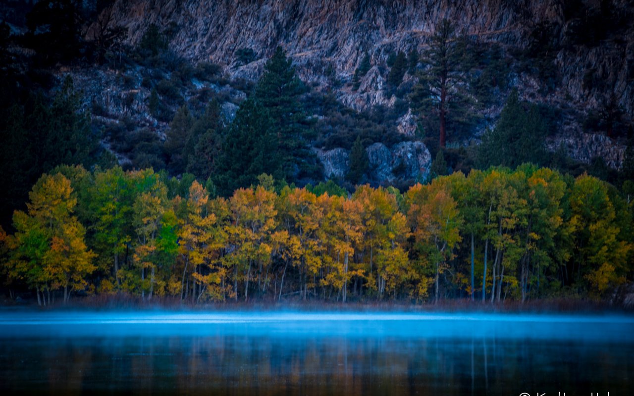 Обои деревья, осень, калифорния, тока, моно, соединенные штаты америки, trees, autumn, ca, current, mono, united states of america разрешение 2048x1367 Загрузить