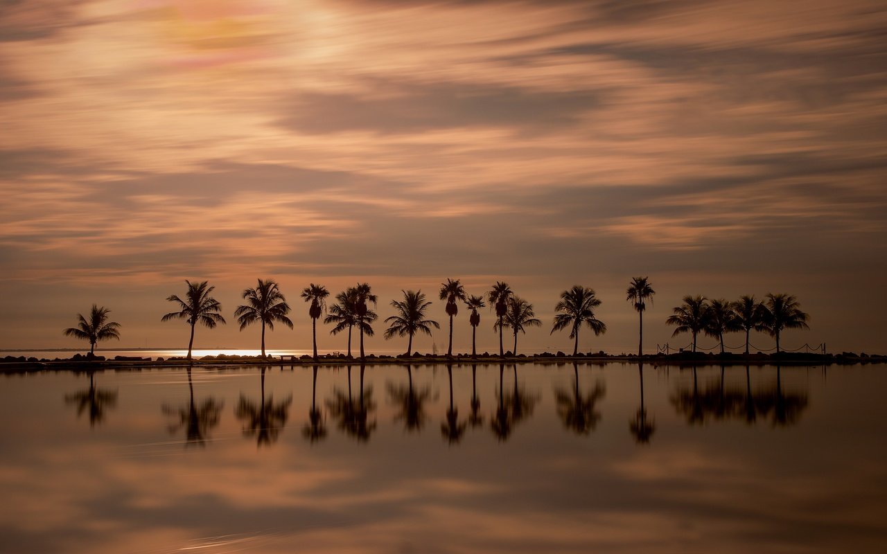 Обои закат, отражение, пальмы, атлантический океан, майами, штат флорида, sunset, reflection, palm trees, the atlantic ocean, miami, florida разрешение 3600x2241 Загрузить