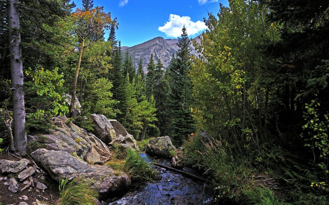 Обои деревья, река, горы, скалы, лес, пейзаж, осень, rocky mountain national park, trees, river, mountains, rocks, forest, landscape, autumn разрешение 2880x1908 Загрузить