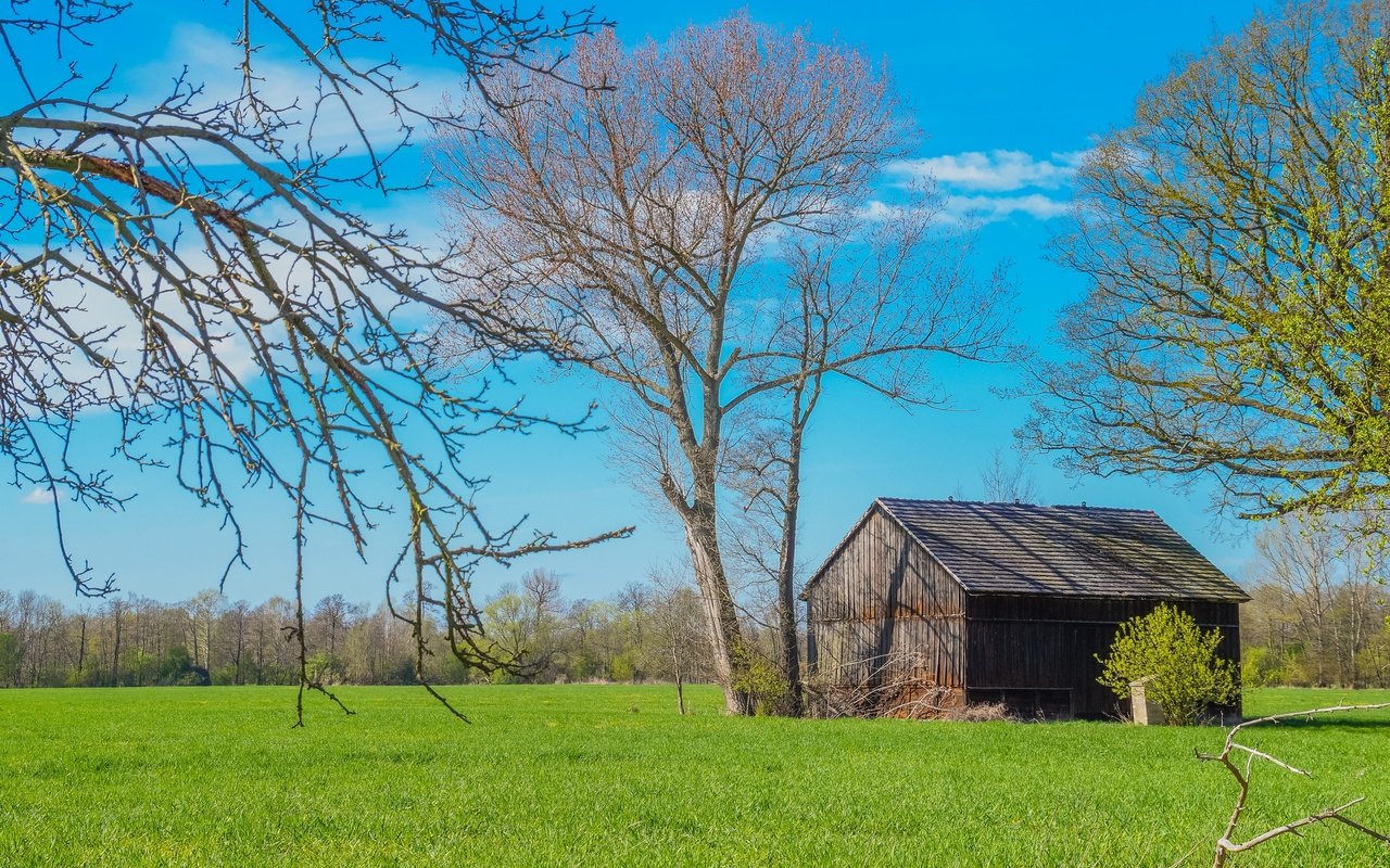 Обои деревья, пейзаж, поле, дом, trees, landscape, field, house разрешение 2880x1917 Загрузить