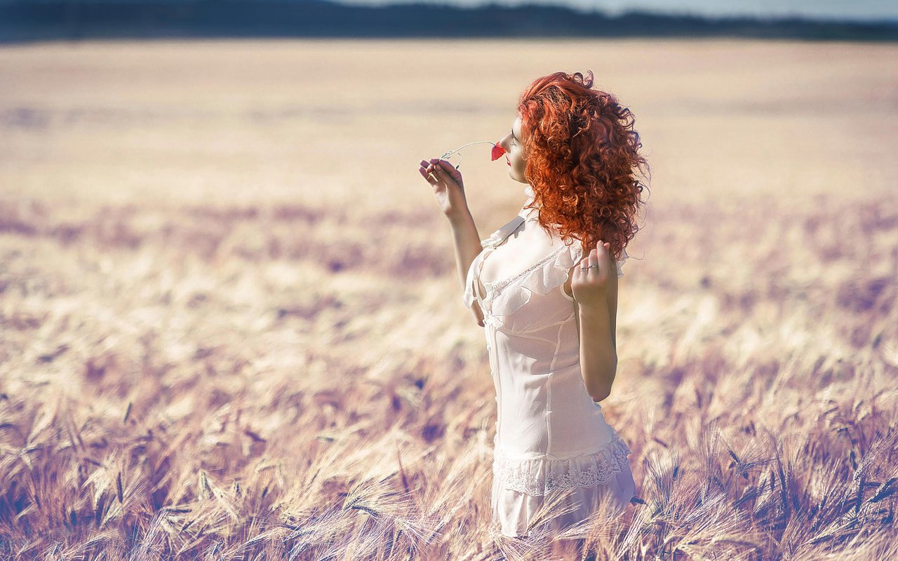 Обои солнце, девушка, поле, лето, цветочек, рыжеволосая, the sun, girl, field, summer, flower, redhead разрешение 2048x1367 Загрузить