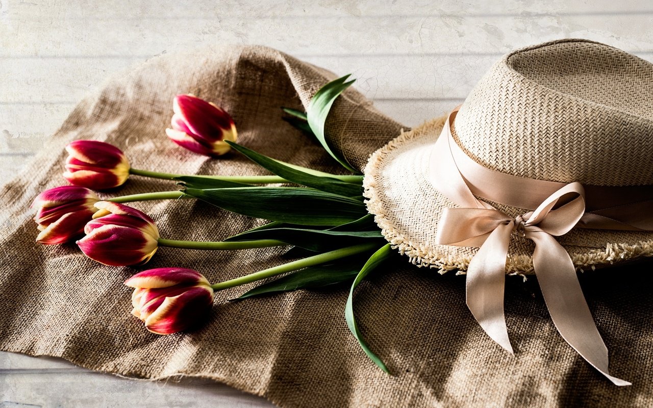 Обои цветы, тюльпаны, лента, шляпа, flowers, tulips, tape, hat разрешение 2000x1257 Загрузить